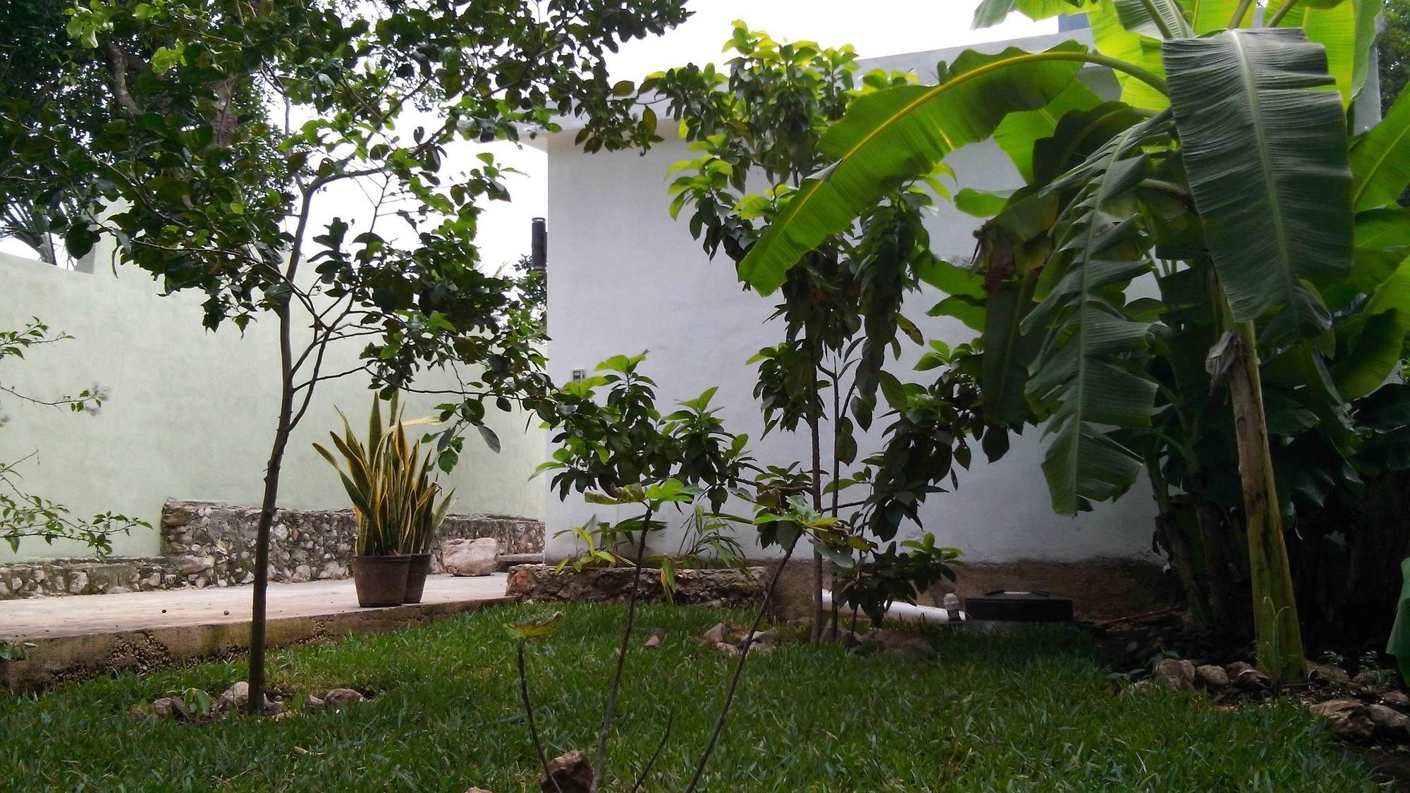 Hotel Casa Del Aire Mérida Exterior foto